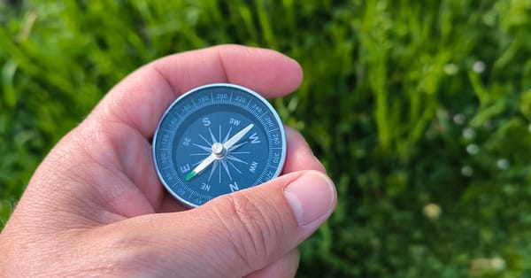 The Investor Consensus Trap: Why 68% of Strategic Bets Fail When Everyone Agrees